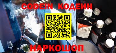 мдпв Кингисепп