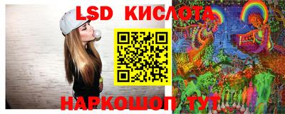мдпв Кингисепп