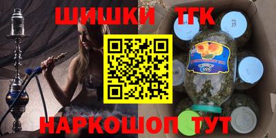 мдпв Кингисепп
