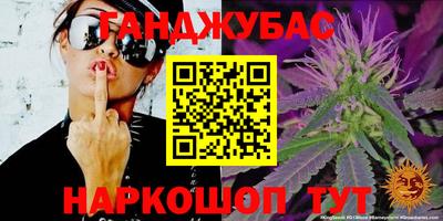прущие грибы Сосновый Бор