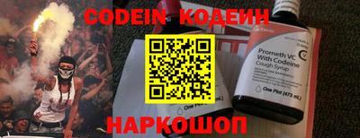 мдпв Кингисепп