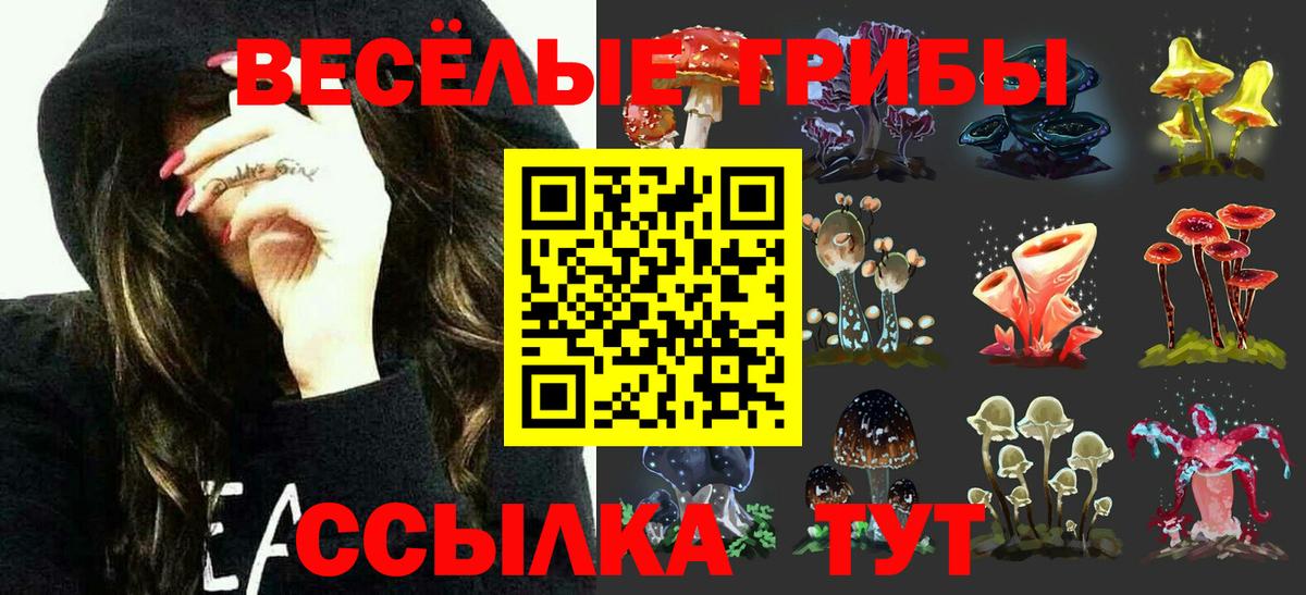 Галлюциногенные грибы мухоморы  Вход с VPN  Нововоронеж 